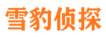 利辛寻人公司